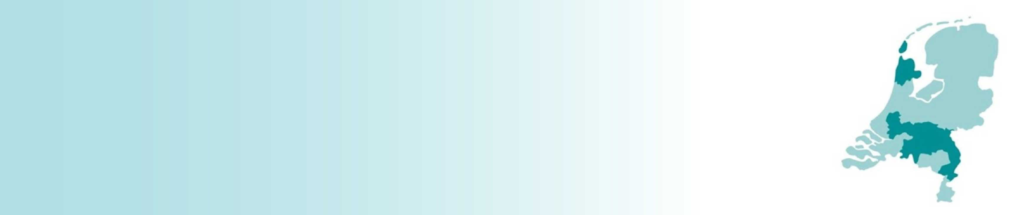 1900x500