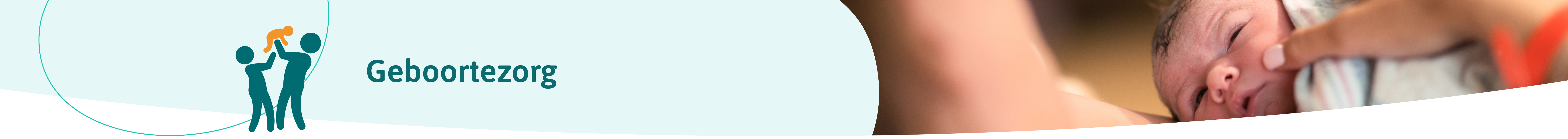 Titelafbeelding Geboortezorg