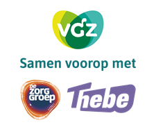 VGZ samen voorop met De Zorggroep en Thebe
